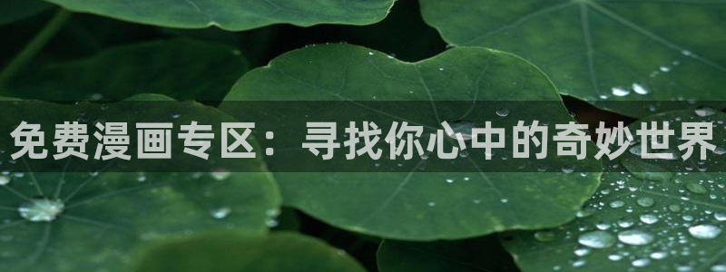 日漫韩漫画在线免费观看