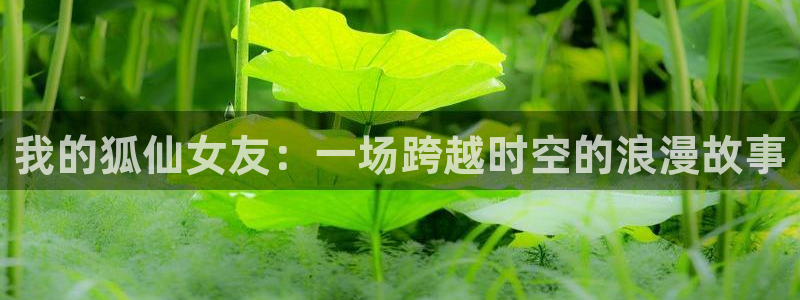 免费韩漫画在线观看：我的狐仙女友：一场跨越时空的浪漫故事