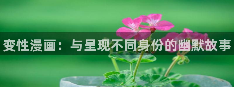 成人韩漫漫画