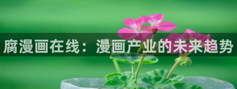 韩漫的网址