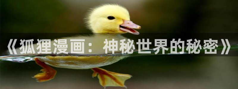 歪歪漫画韩漫画在线观看
