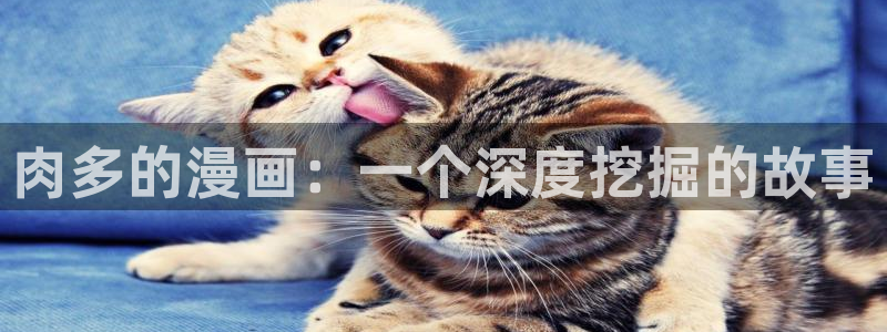 韩漫最好看的漫画大全