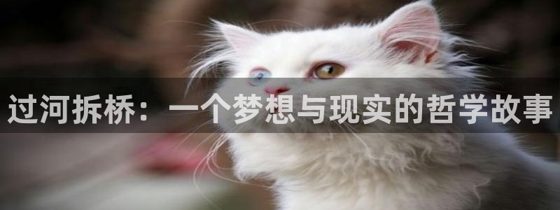 韩漫在线观看免费漫画