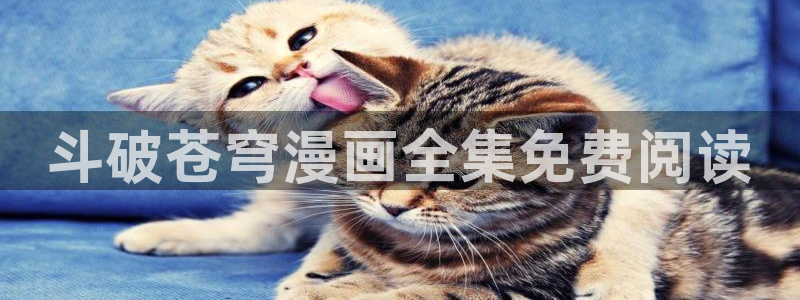 韩漫网站资源