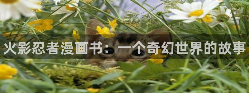韩漫画涯全集观看