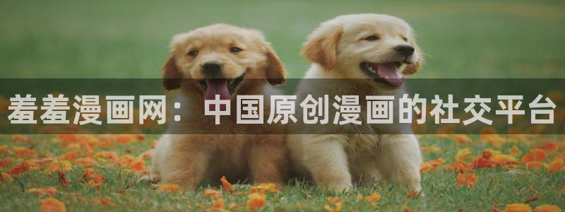 虞美人韩漫免费漫画观看