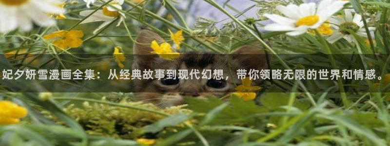 图腾领域 韩漫画